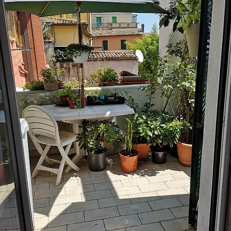 La Rondine Пезаро