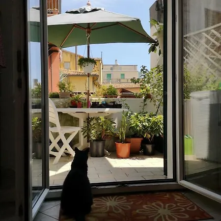 La Rondine Appartement *